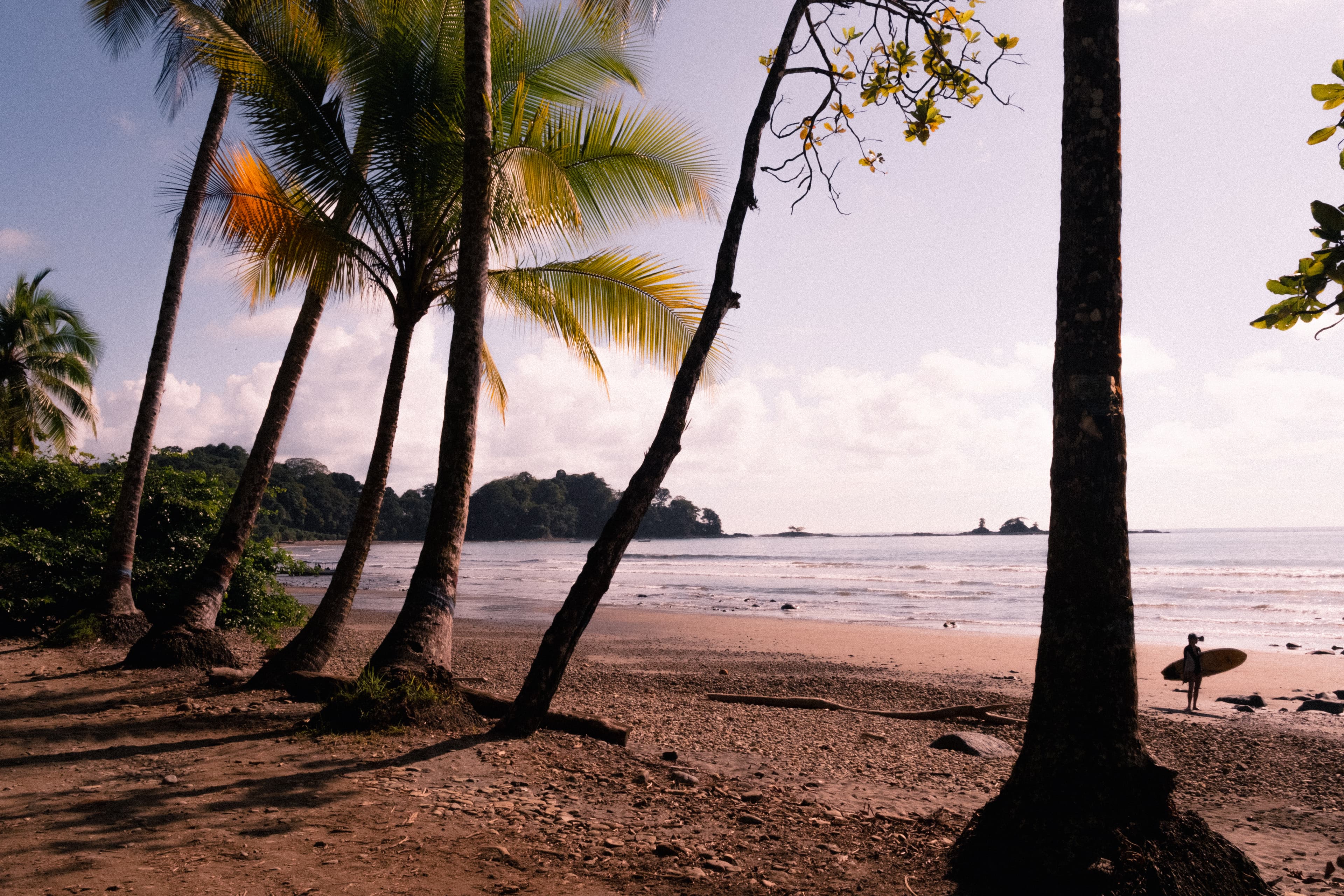 Tropical beach scene